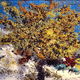 Illustration for article titled Van Gogh's Starry Night and Other Masterpieces Recreated With Salty Snacks and Spices